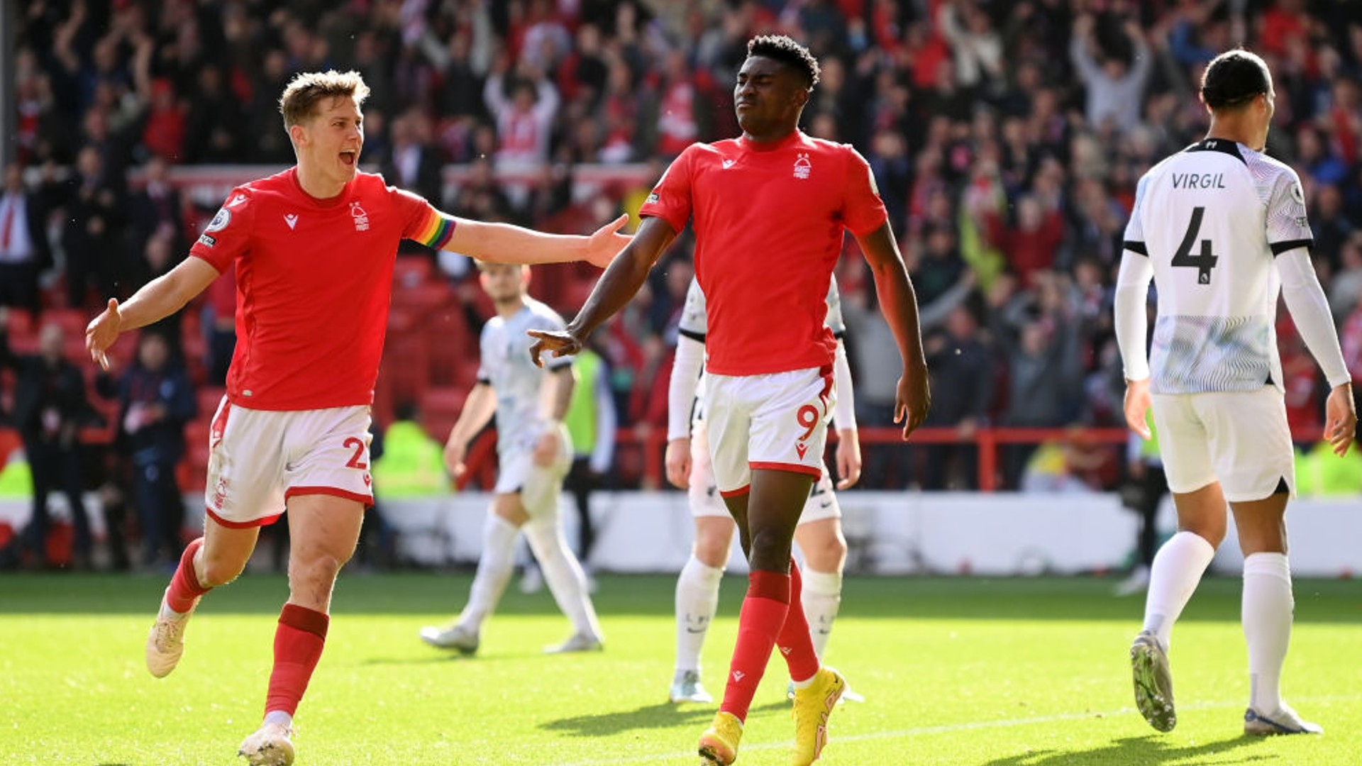 稳定性和竞 稳定性和竞